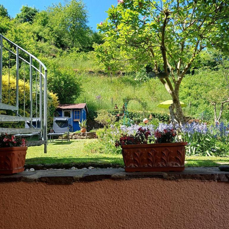 Ferienwohnung Haus Bleser Cochem Exteriör bild
